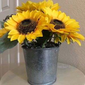 Sunflowers with metal pail